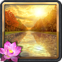 NATURE RELAXATION ANIMATED WATER LANDSCAPES FOR ANDROID