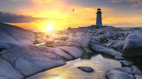 NATURE RELAXATION ANIMATED WATER LANDSCAPES FOR ANDROID