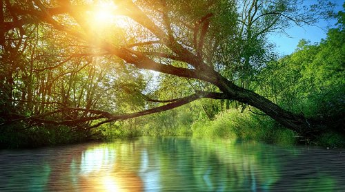 NATURE RELAXATION ANIMATED WATER LANDSCAPES FOR ANDROID